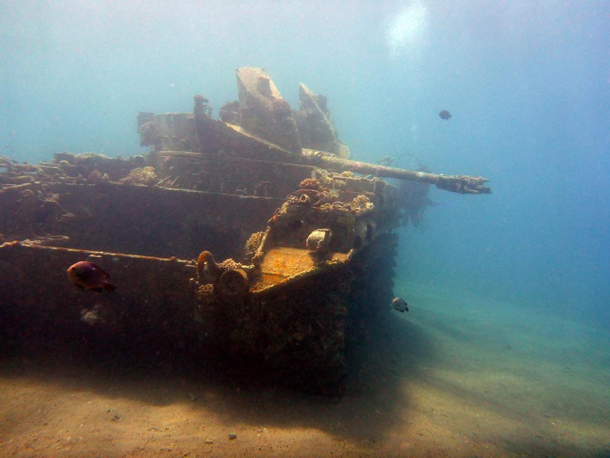 Bait Alaqaba Dive Center & Resort מראה חיצוני תמונה